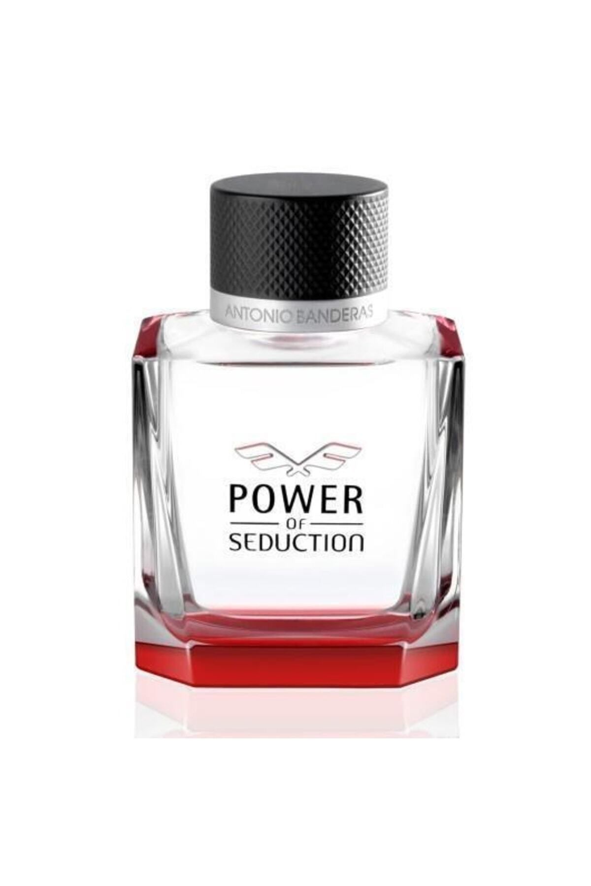 Antonio Banderas Power Of Seduction Edt 100 ml Erkek Parfüm 8411061913024