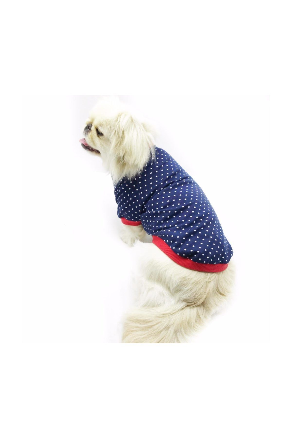 Kemique Navy Mini Dots Oval Yaka Tişört  Summer Köpek Kıyafeti  (medium / 2,5 - 3,5 Kg )