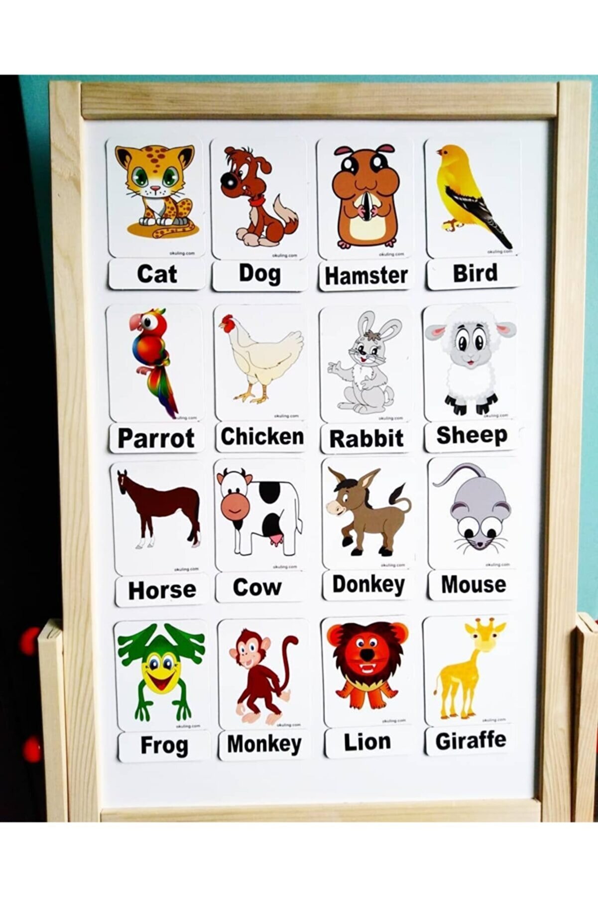 Okuling Manyetik Ingilizce Kelime Kartları Flashcards -hayvanlar - Animals