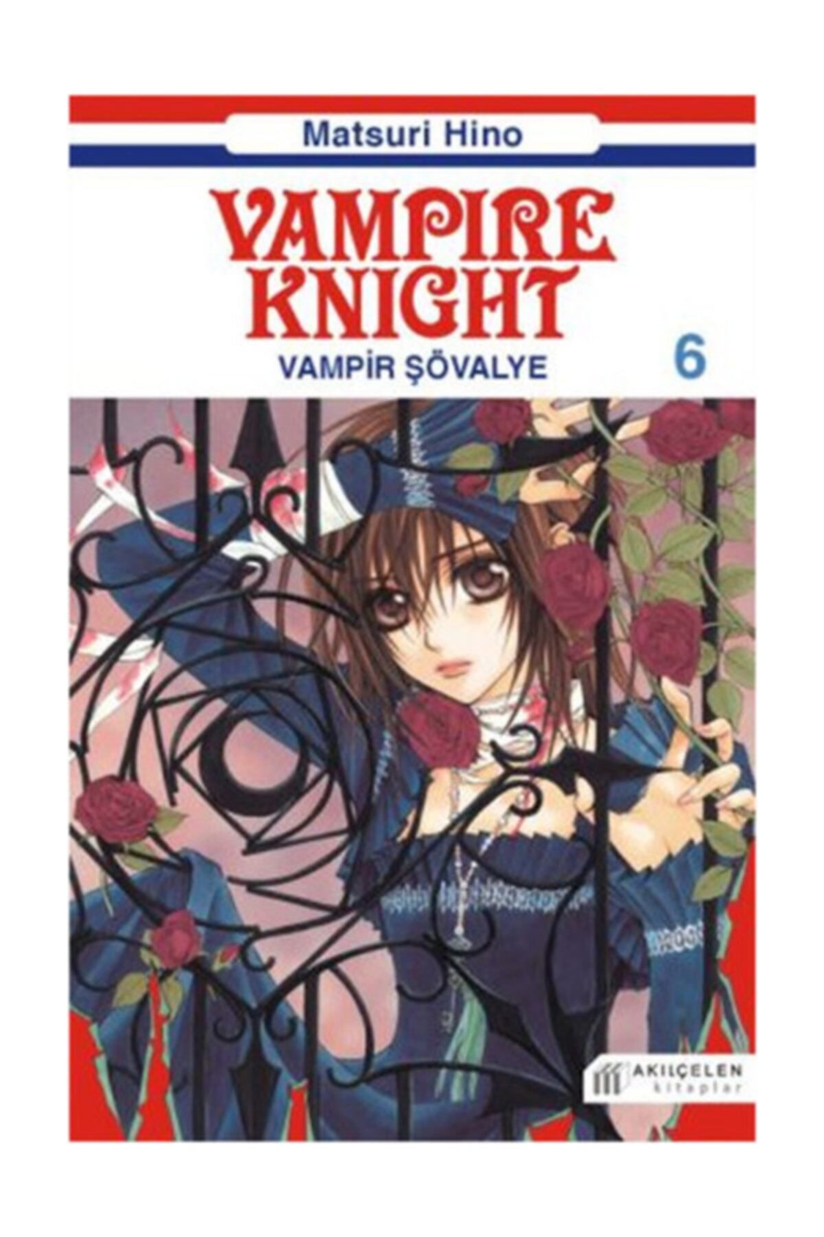 Akıl Çelen Kitaplar Vampire Knight 6 / Vampir Şövalye 6