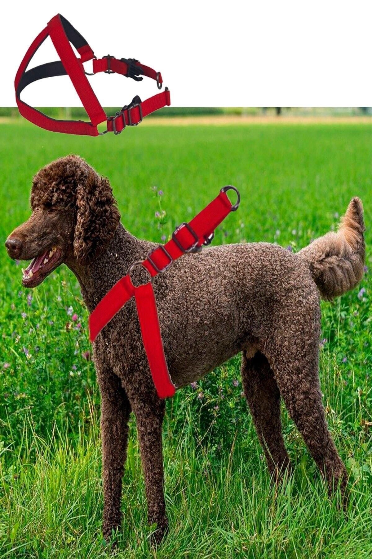 BYPET Köpek Tasması Soft Tabanlı Güvenli Ve Konforlu Köpek Göğüs Tasması Seti