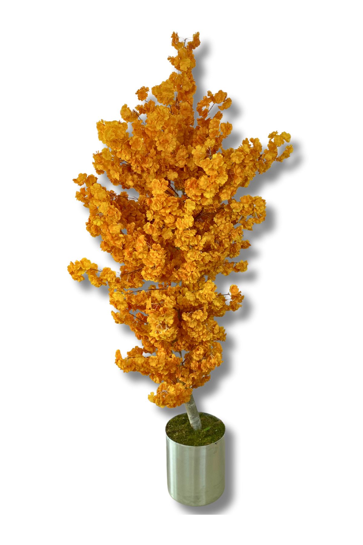 Cihan Çiçekçilik Karamel Bahar Dalı 200 Cm Yapay Ağaç 30x30 Metal Saksı