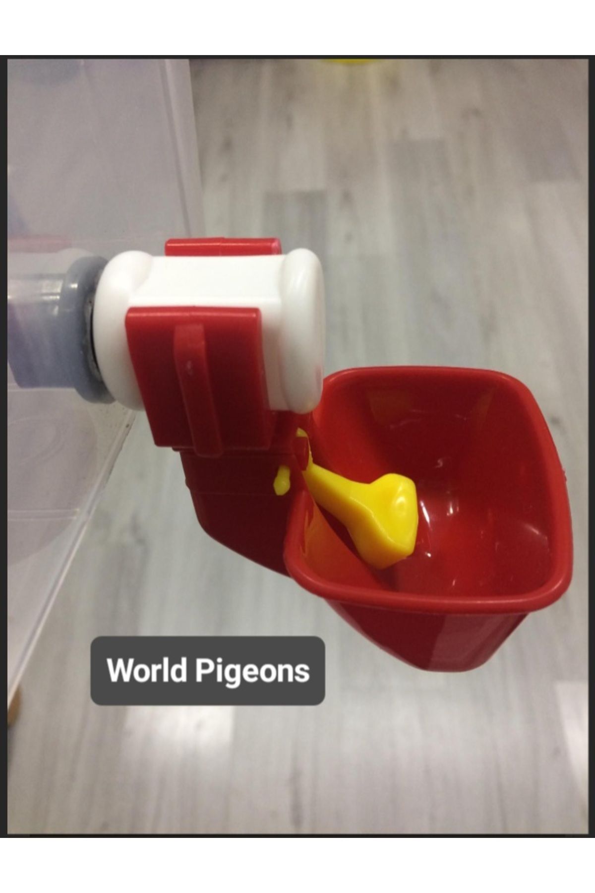 world pigeons Depoya Bağlamak Için Dilli Çanak , Otomatik Nipel Suluk