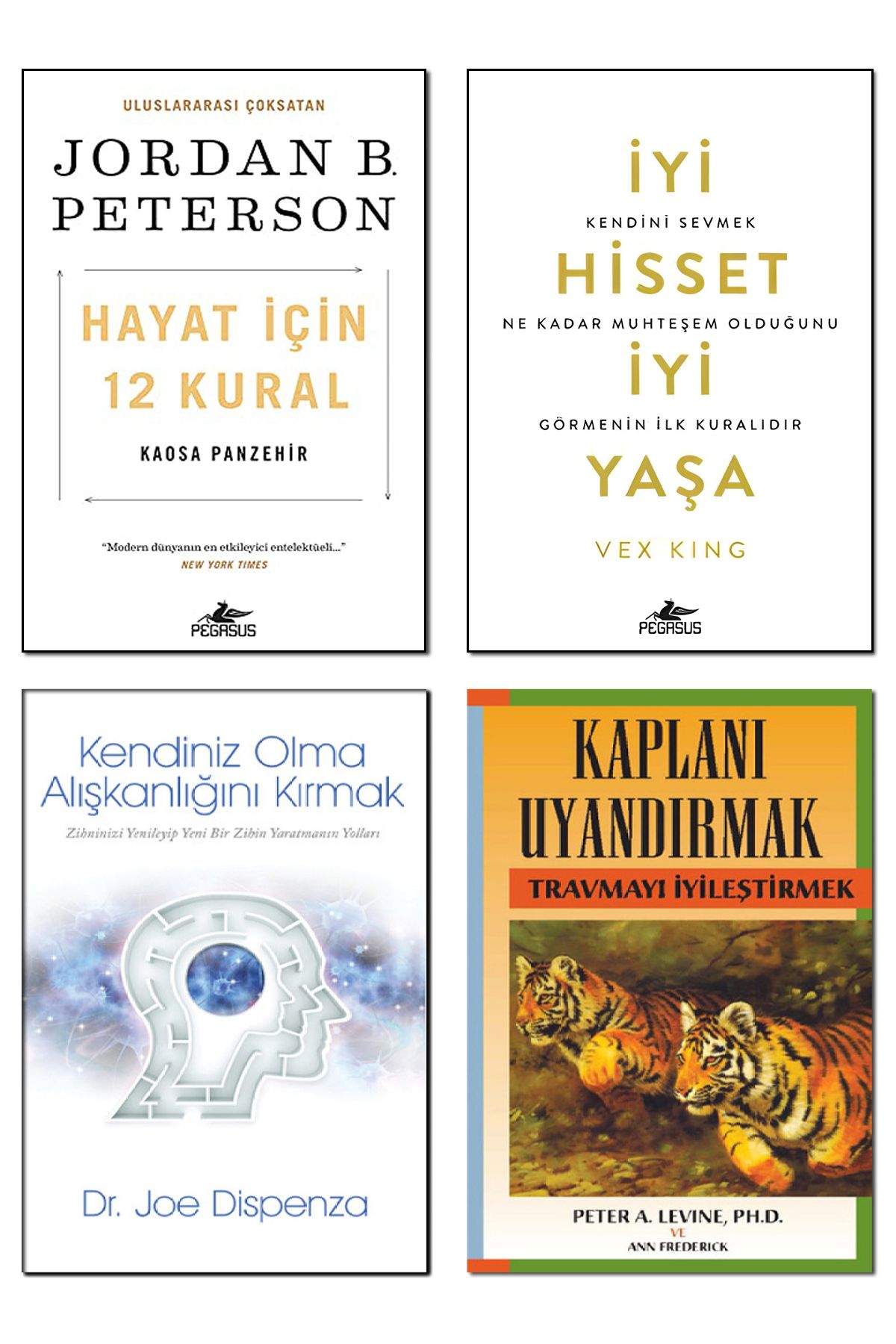 Destek Yayınları Hayat İçin 12 Kural + İyi Hisset İyi Yaşa Vex King + Kaplanı Uyandırmak + Bilinçaltının Gücü