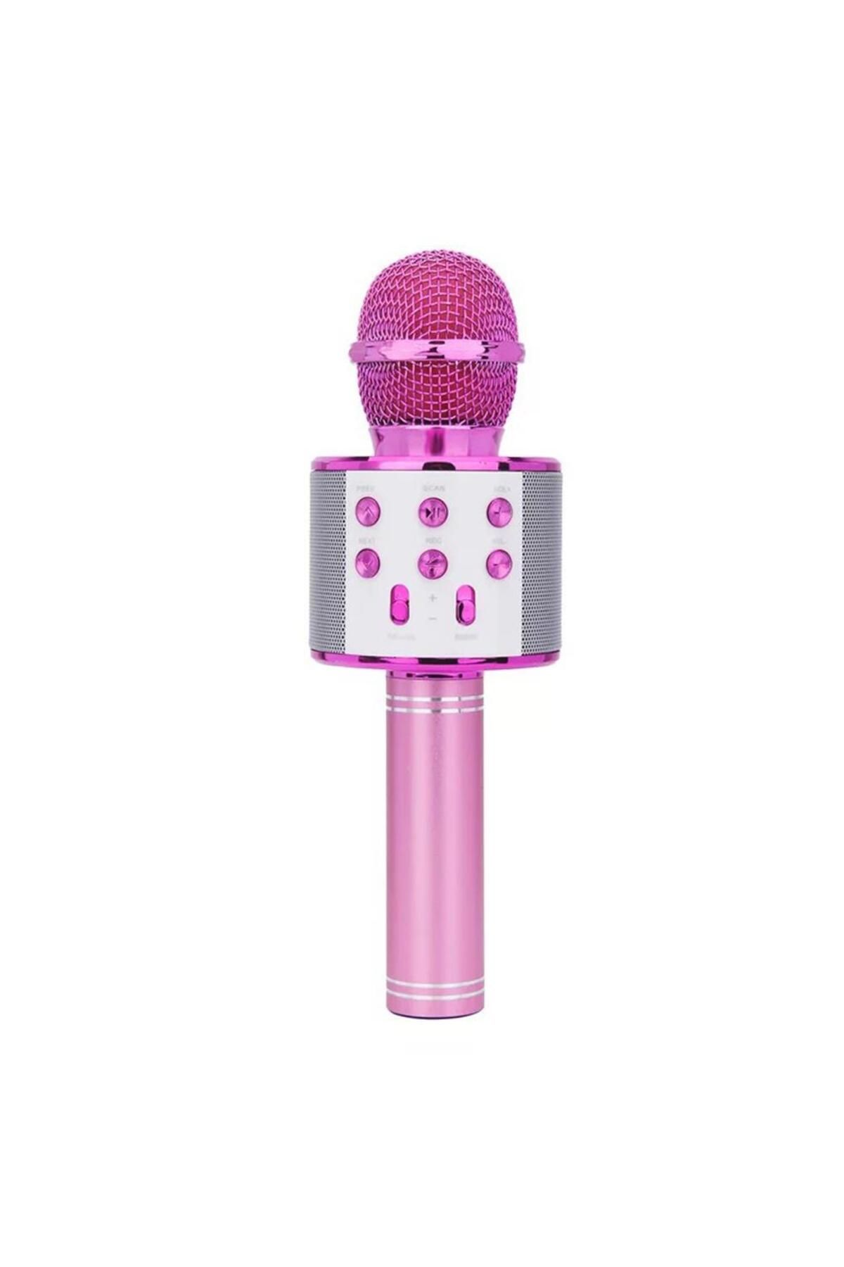 Torima WS-858 Karaoke Mikrofon Aux Usb Ve Sd Kart Girişli Bluetooth Hoparlör Pembe