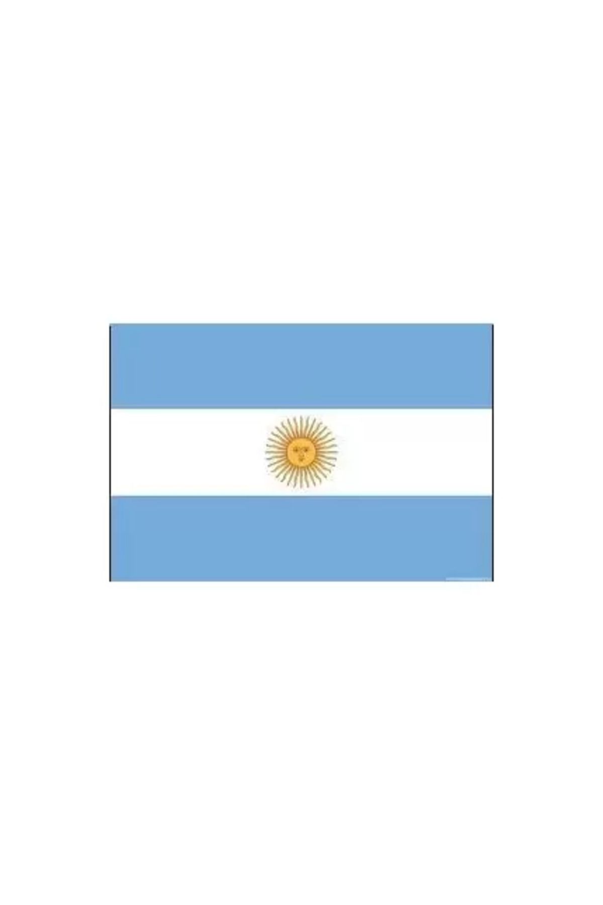 Genel Markalar Arjantin Bayrağı (30x45 cm)