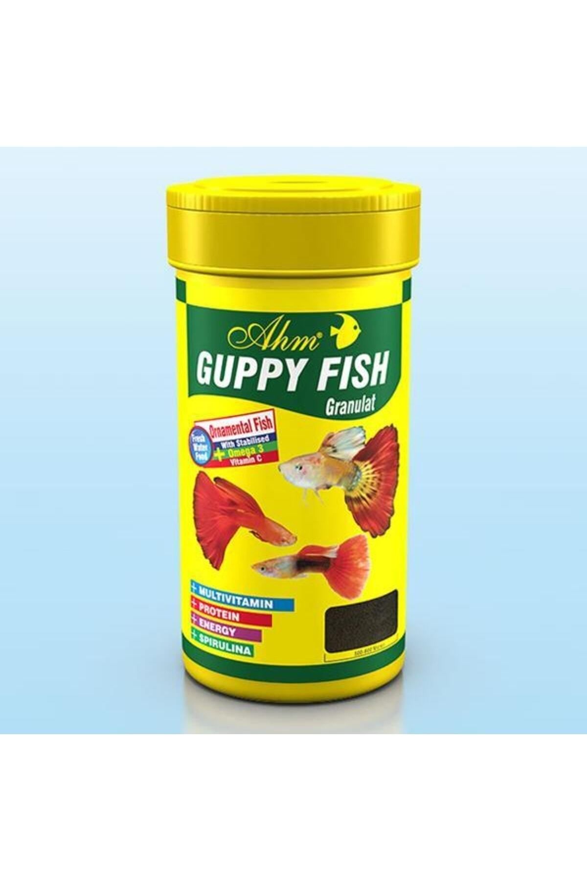Ahm Guppy Granül Food Lepistes Balığı Yemi 250 Ml