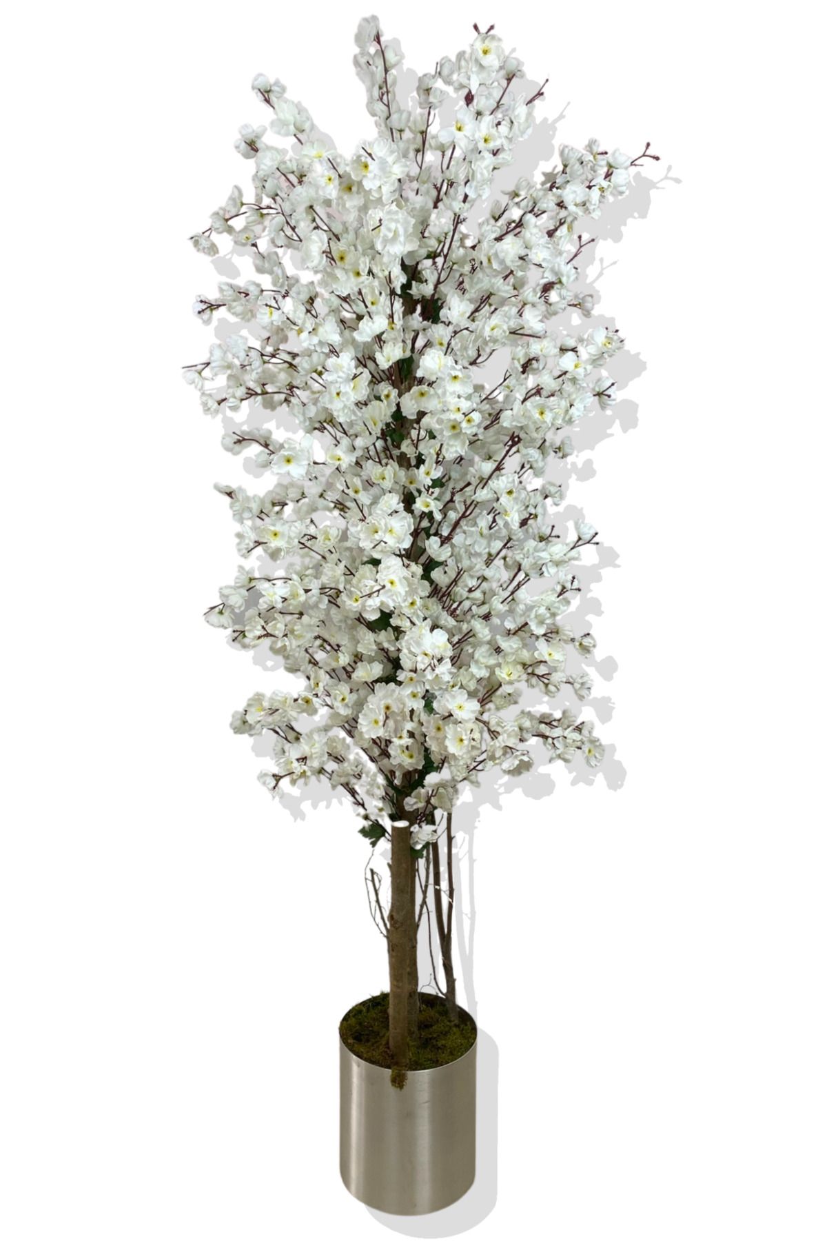 Cihan Çiçekçilik Beyaz Bahar Dalı 160 Cm Yapay Ağaç 25x25 Metal Saksı