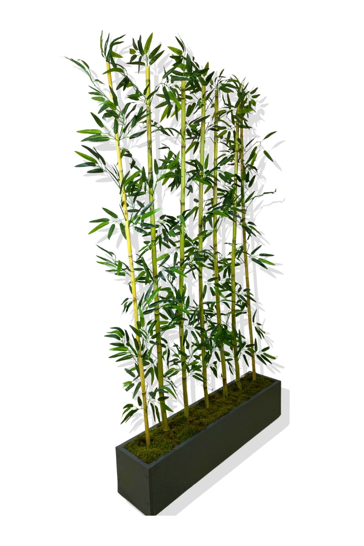 Cihan Çiçekçilik Bambu Seperatör 175 Cm 7 Adet Bambu 100 Cm Antrasit Saksı