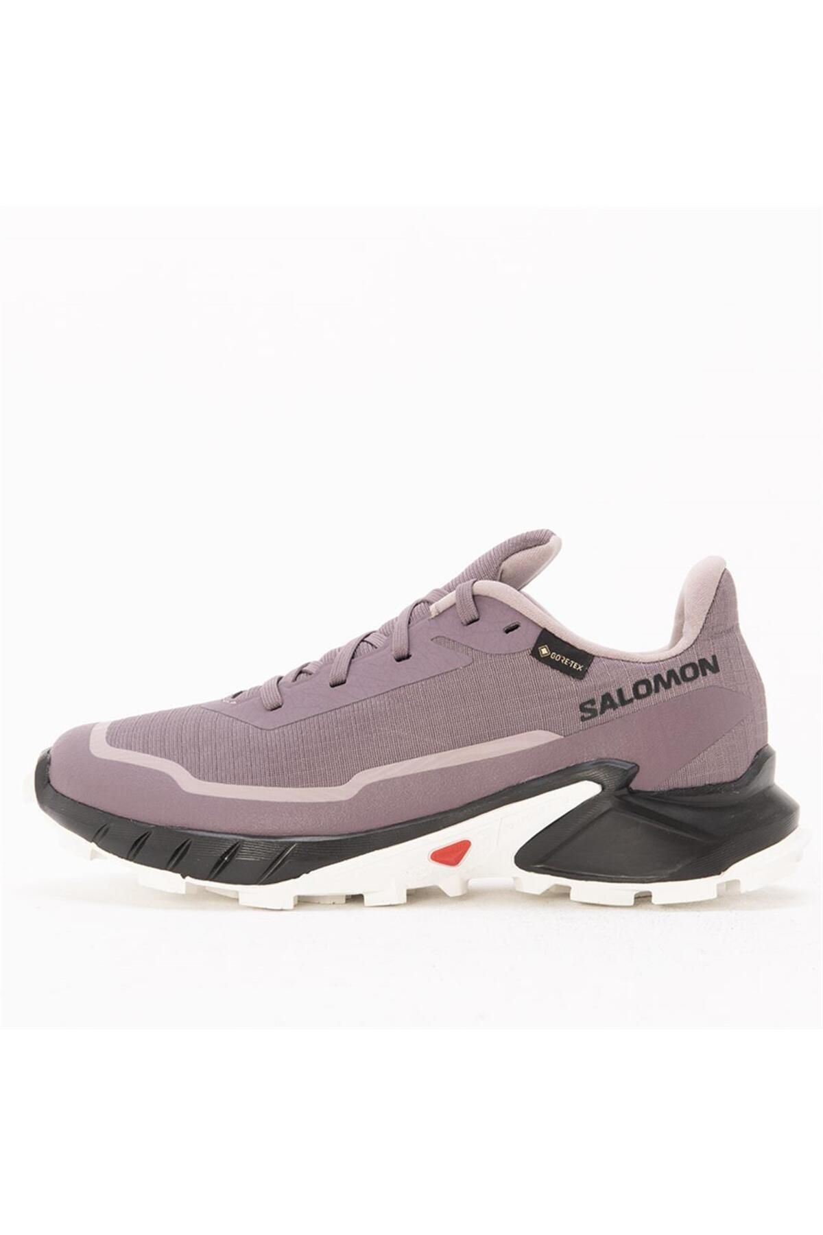 Salomon Alphacross 5 Gtx Outdoor Kadın Ayakkabı L473110