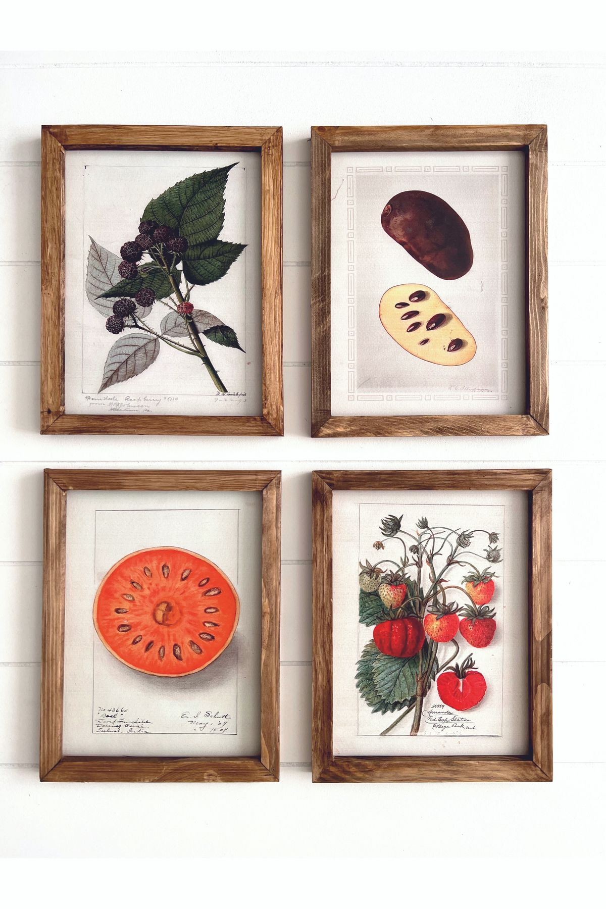 Puu Design Mutfak Meyveler Temalı Ahşap Çerçeveli Vintage Tablo Seti Fruits