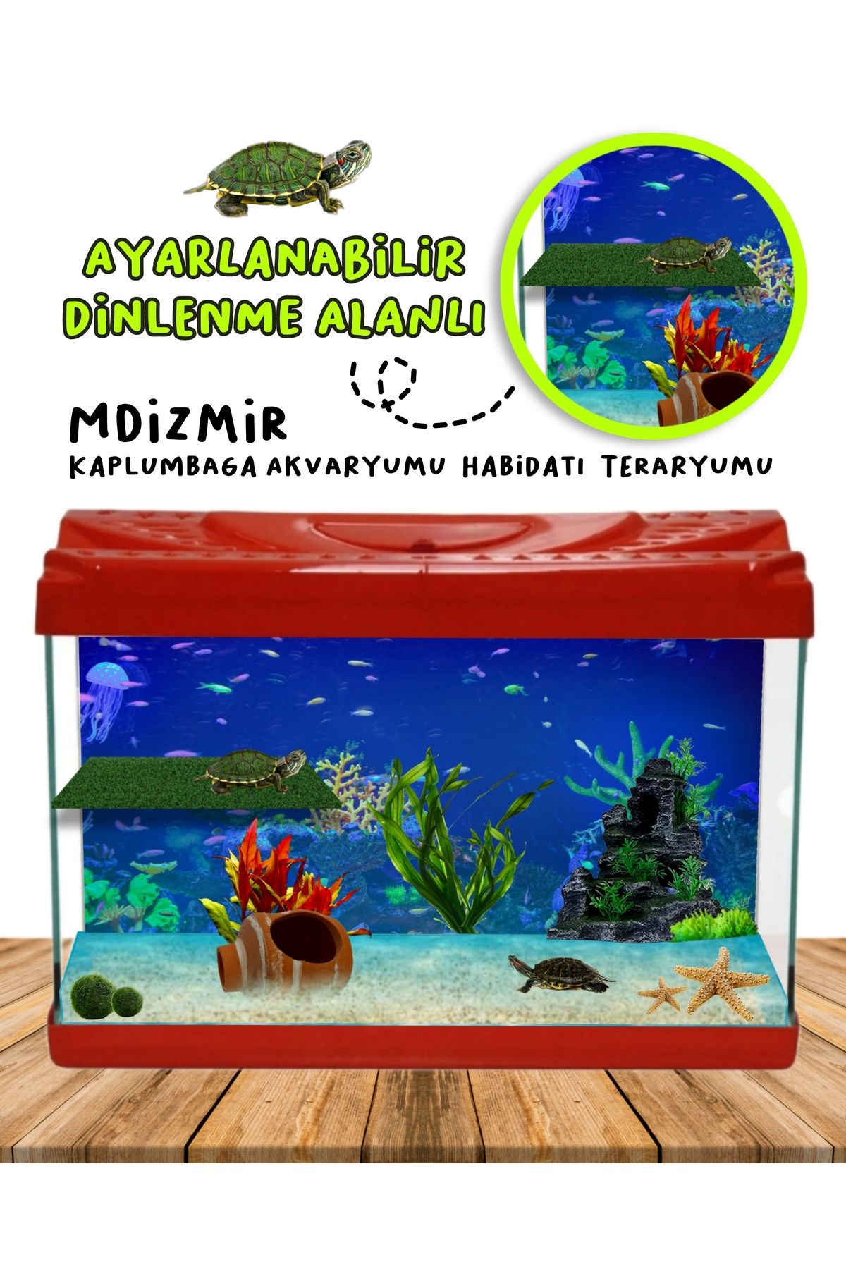 MDİZMİR Kaplumbaga 30 cm Akvaryumu Habidatı Teraryumu - Ayarlanabilir Dinlenme Alanlı