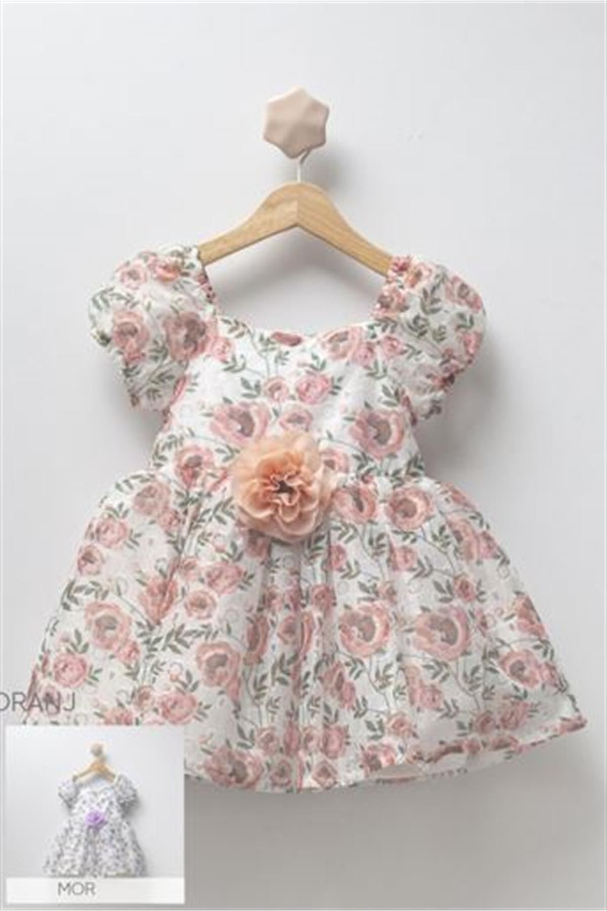 Ladybirds Kız Çocuk Rose Garden Elbise