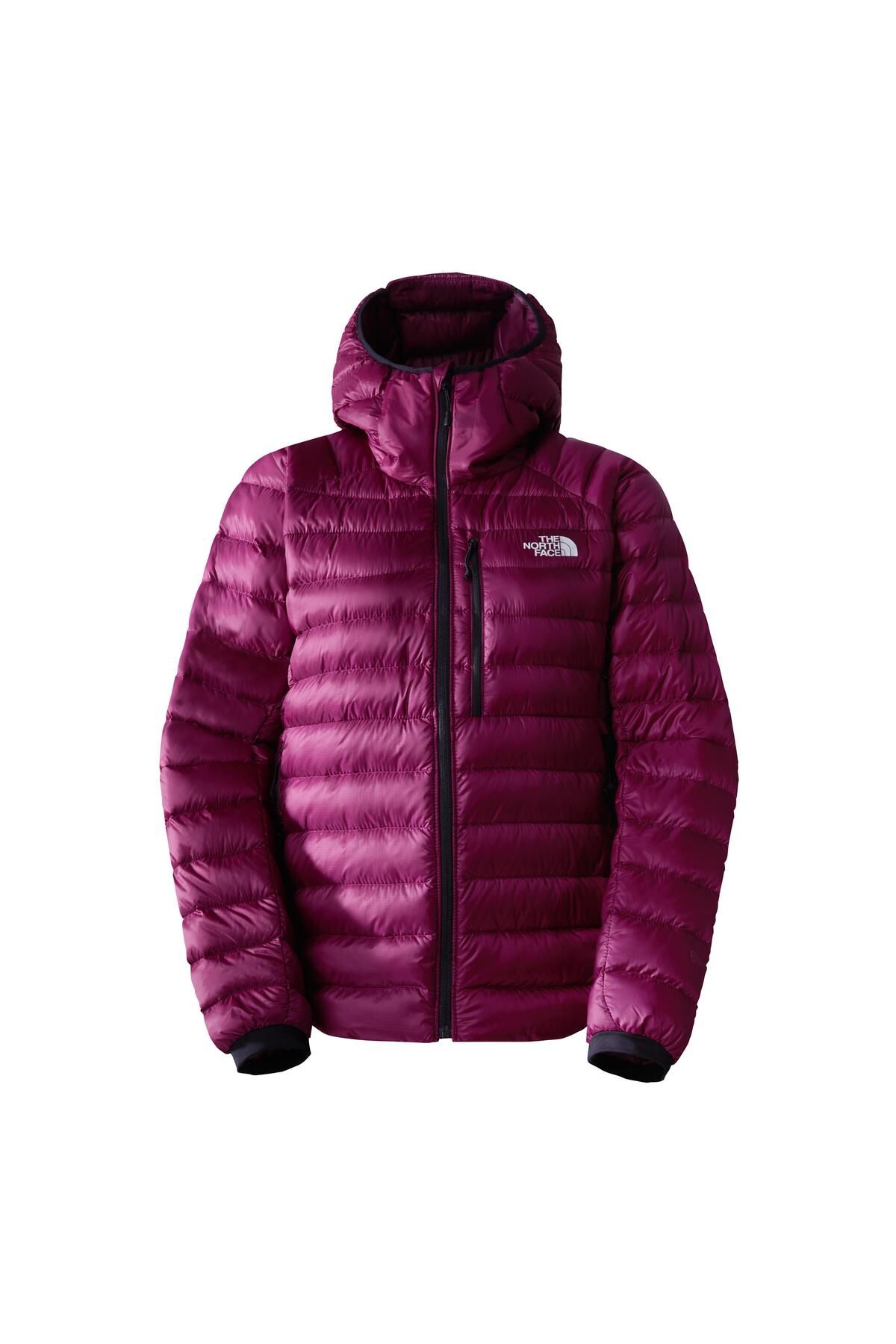 The North Face W SUMMIT BREITHORN HOODIE NF0A7UTZI0H1