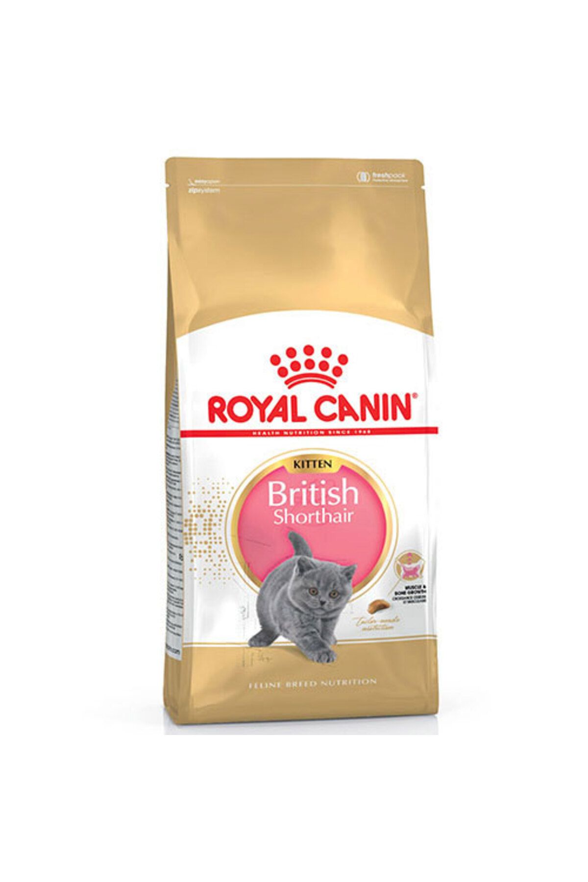 Viole Royal Canin British Shorthair Kitten Yavru Kedi Maması 2 Kg