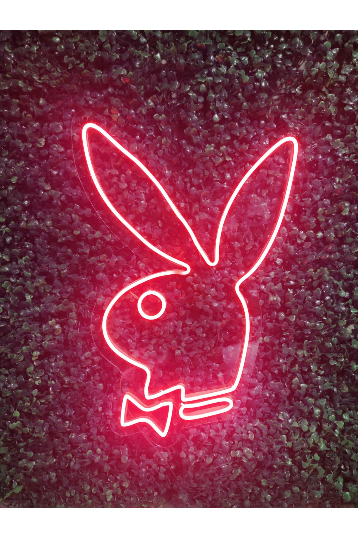 dekoraven Playboy Tavşan Neon Led Aydınlatma(40x30cm)