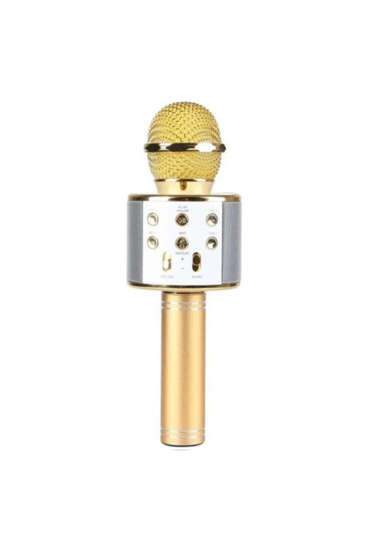 Dietro Ws-858 Karaoke Mikrofon Bluetooth Hoparlör Hafıza Kartı, Usb Ve Aux Giriş Destekli