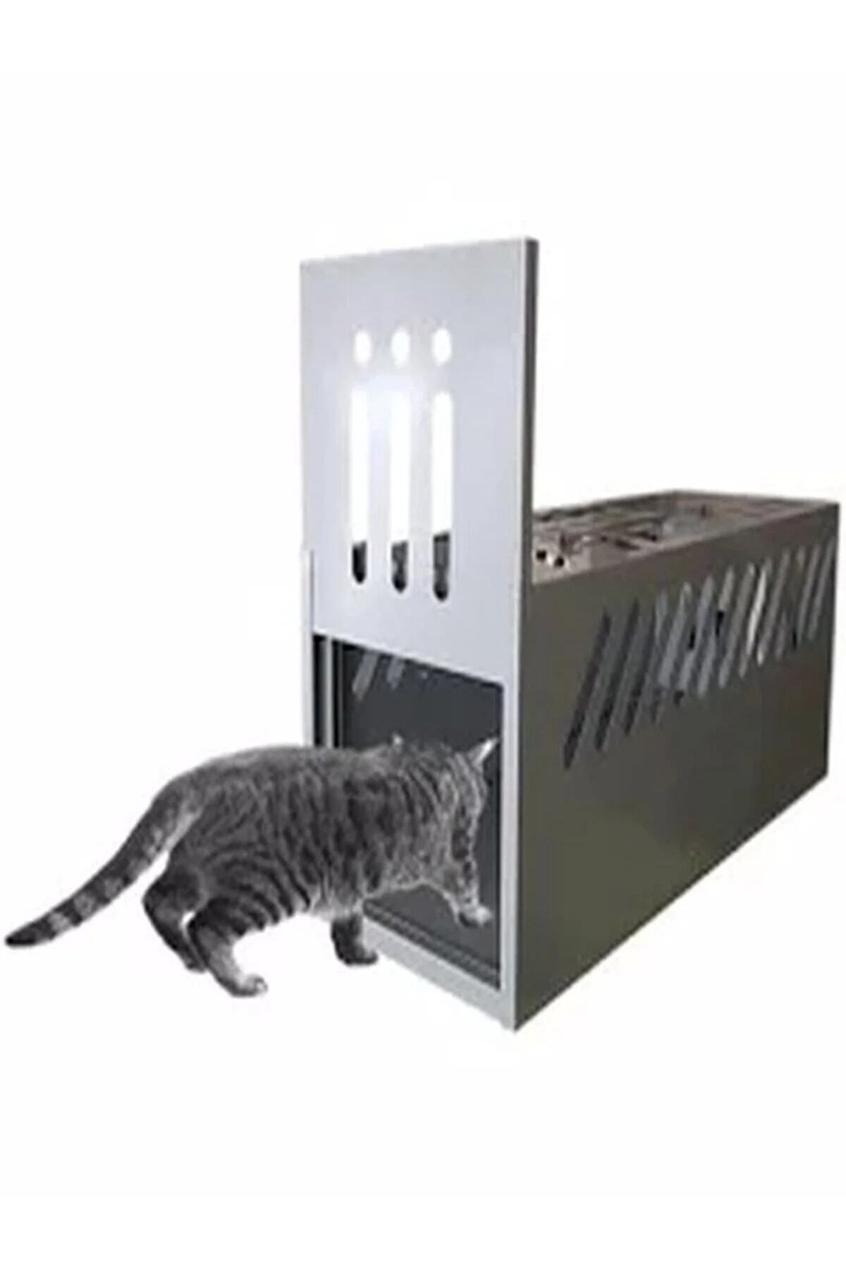 Elektro Frog Zararsız Kedi Canlı Yakalama Kafesi Sansar Yakalama Kedi Yakalama Kapanı Tavşan Baksı Kedi Kapanı
