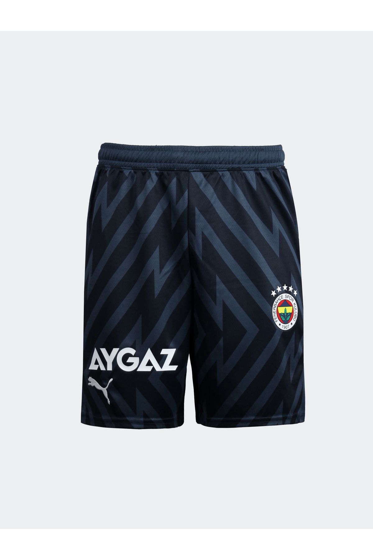 Fenerbahçe 2023/2024 Yeni Sezon Antrasit Kaleci Şort