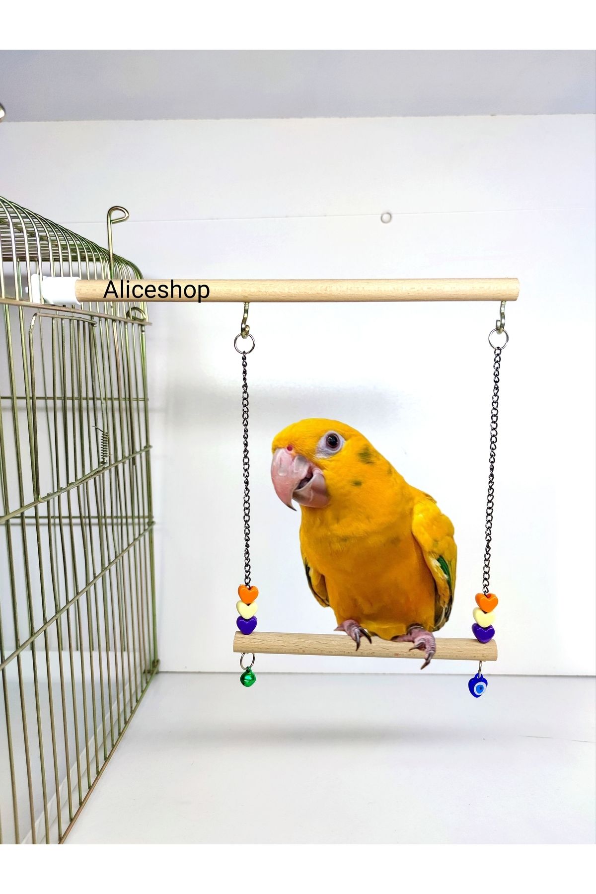 Alice Sultan Papağanı ve Boyutundaki Kuşlar için Tünekli Salıncak