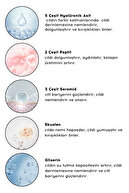 رژ لب رژ لب سایه چشم براق رنگ ملایم موکا | آرایش مرطوب کننده | 504 برهنه | پپتید هیالورونیک اسید-thumb