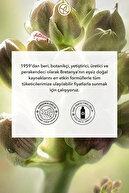 مراقبت از سلول های بنیادی گیاهی ضد لک و ضد پیری ضد پیری درخشندگی جهانی- کرم ویتامین E - 30 SPF-thumb