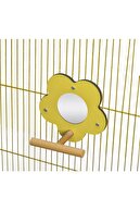 Rotipet Kuş Oyuncağı Ahşap Tünekli Papatya Ayna