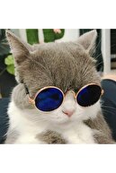 Lion Pet Kedi Köpek Gözlüğü Mini Irklara Özel Mavi 8 Cm