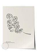 Color - 6