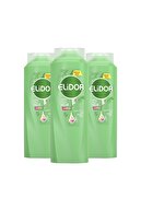 Elidor Sağlıklı Uzayan Saçlar Için Saç Bakım Şampuanı 650 ml X3