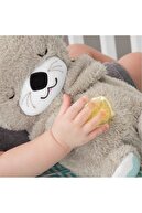 Sleep And Playmate Otter Fxc66-thumb