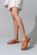 7996-Taba