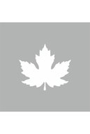 slicing attribute product
