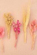 دسته لونا خشک (چمن کتانی) طبیعی-thumb