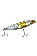 Trans Sardine