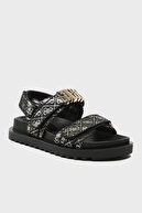 BLACK-GOLD