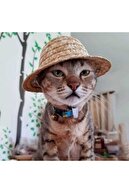 AKTEZ-EL Kediler Için Sevimli Pet Rahat Hasır Fötr Şapka - Small Beden