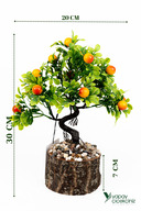 mandarin