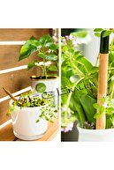 Yaşayan Kalem 36 Adet Tohumlu Kurşun Kalem Eko Model ( Çiçek Tohumlu )