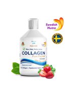 Swedish Nutra Collagen Pure Peptide 10 000 Mg (balık) – Tip I & Tip Iıı- Sıvı Form - 500 Ml