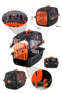 ست استارتر گربه در فضای باز-thumb