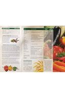 کود آلی با منشا گیاهی آمینو اسید حاوی آمینو اسید 5 لیتری بسته بندی جدید-thumb