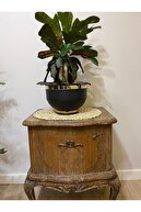 گلدان فلزی گل گلدان گل سفالی تزئینی طلای سیاه به تفصیل 19x25cm-thumb