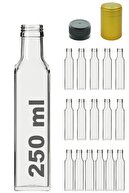 Transparent 16 Pieces