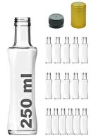 Transparent 16 Pieces