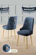 Chair Anthracite Legs Gold