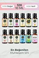 12 بسته روغن معطر اسانس پخش کننده اسانس هوا مرطوب کننده هوا مجیک گلوب عطر اتاق عطر 12x10ml-thumb