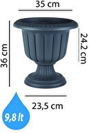 Color in Image