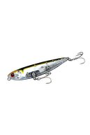 Gray Mullet