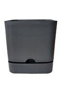 2.3L Grey